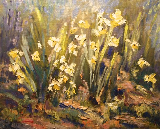 Daffodils in Late Afternoon